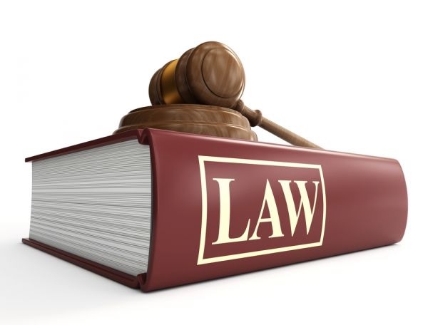 washoe legal services - favicon